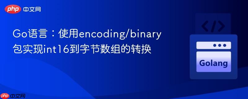 Go语言：使用encoding/binary包实现int16到字节数组的转换