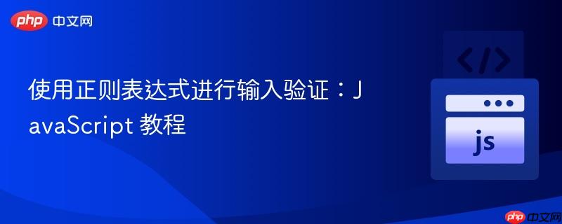 使用正则表达式进行输入验证：JavaScript 教程