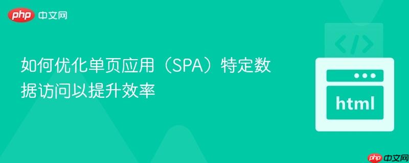 如何优化单页应用（SPA）特定数据访问以提升效率
