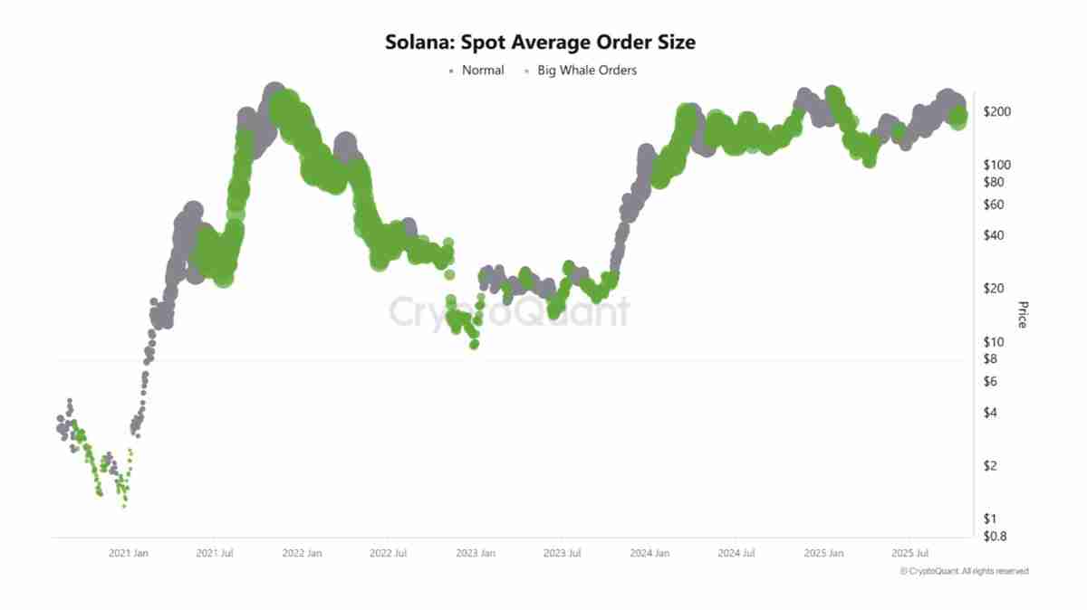 数据显示76%散户做多索拉纳，SOL反弹至200美元关口能否守住？一文了解