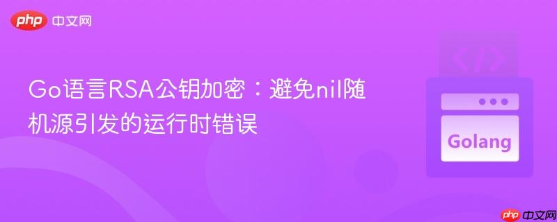 Go语言RSA公钥加密：避免nil随机源引发的运行时错误
