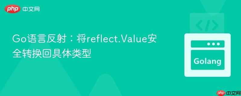 Go语言反射：将reflect.Value安全转换回具体类型