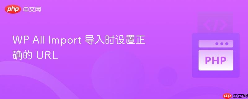 wp all import 导入时设置正确的 url