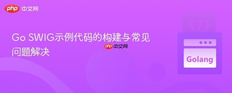 Go SWIG示例代码的构建与常见问题解决