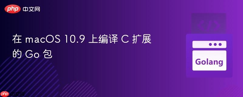 在 macOS 10.9 上编译 C 扩展的 Go 包