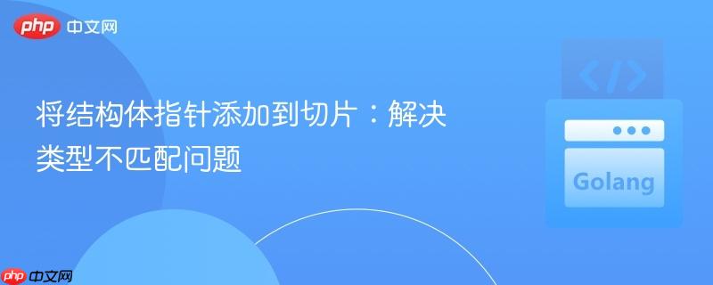 将结构体指针添加到切片：解决类型不匹配问题