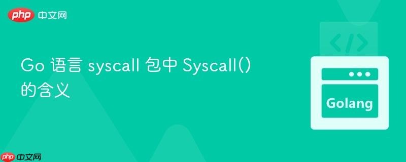 Go 语言 syscall 包中 Syscall() 的含义