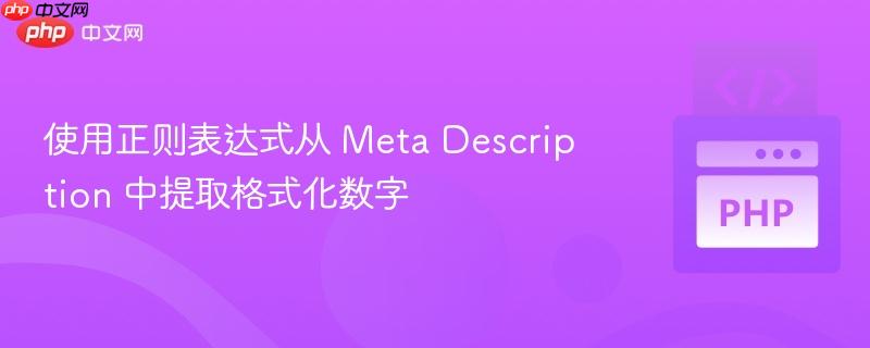 使用正则表达式从 meta description 中提取格式化数字