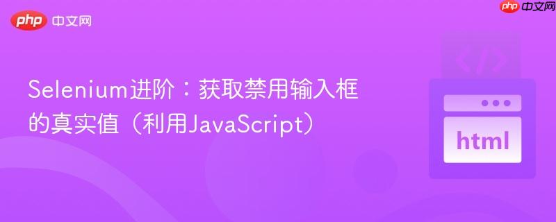 Selenium进阶：获取禁用输入框的真实值（利用JavaScript）