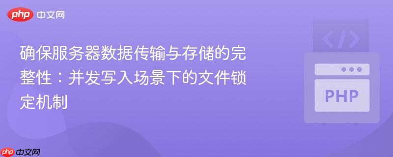 确保服务器数据传输与存储的完整性：并发写入场景下的文件锁定机制