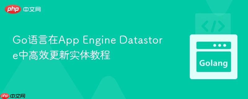 Go语言在App Engine Datastore中高效更新实体教程