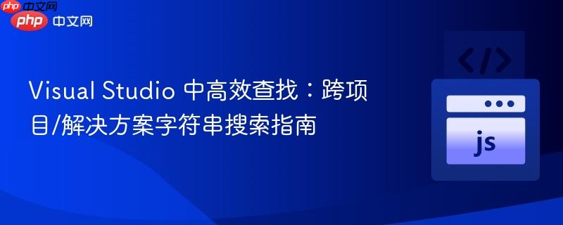 Visual Studio 中高效查找：跨项目/解决方案字符串搜索指南