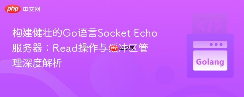 构建健壮的Go语言Socket Echo服务器：Read操作与缓冲区管理深度解析