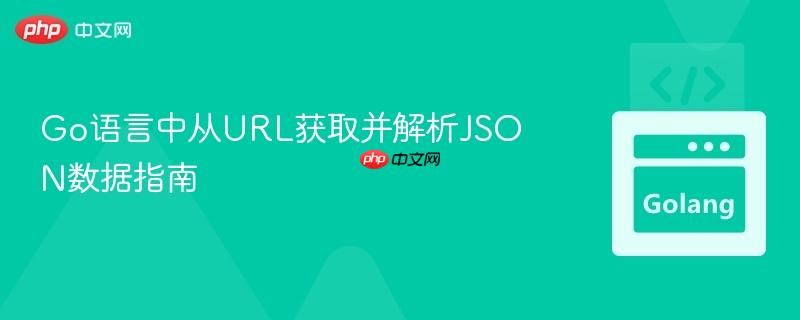 Go语言中从URL获取并解析JSON数据指南