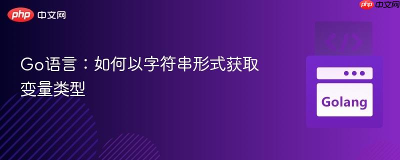 Go语言：如何以字符串形式获取变量类型