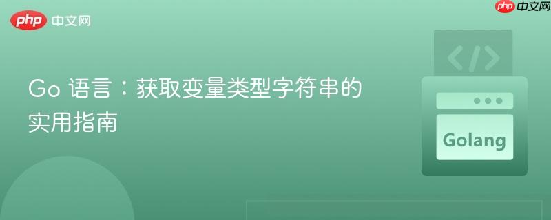 Go 语言：获取变量类型字符串的实用指南