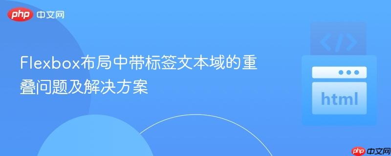 Flexbox布局中带标签文本域的重叠问题及解决方案
