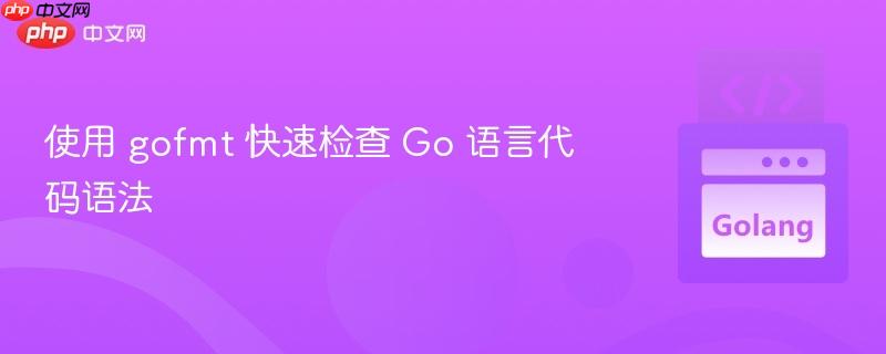 使用 gofmt 快速检查 Go 语言代码语法