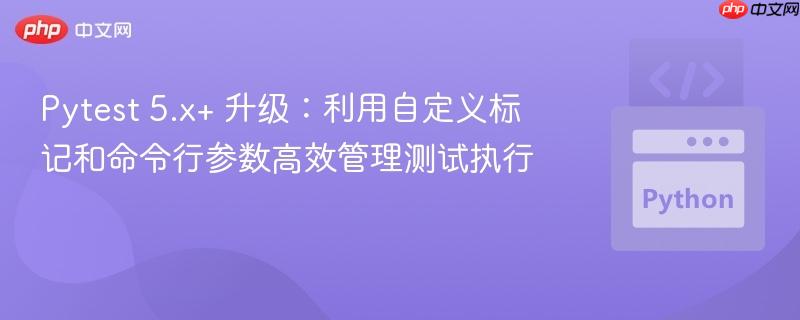 Pytest 5.x+ 升级：利用自定义标记和命令行参数高效管理测试执行