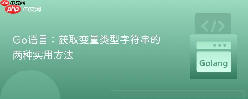 Go语言：获取变量类型字符串的两种实用方法