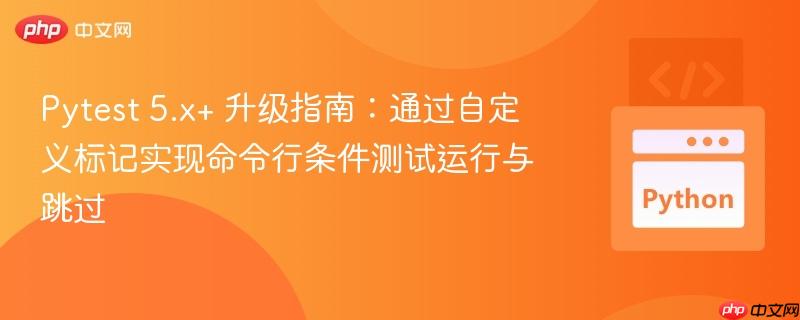 Pytest 5.x+ 升级指南：通过自定义标记实现命令行条件测试运行与跳过