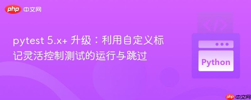 pytest 5.x+ 升级：利用自定义标记灵活控制测试的运行与跳过