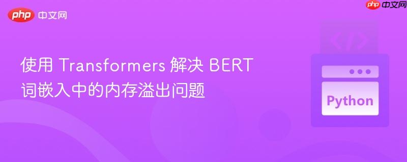 使用 Transformers 解决 BERT 词嵌入中的内存溢出问题