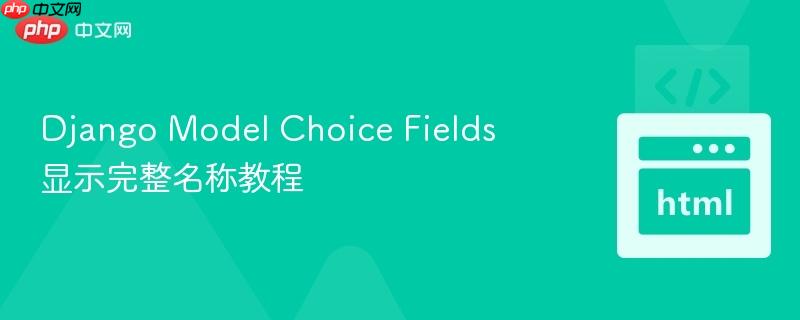 Django Model Choice Fields 显示完整名称教程