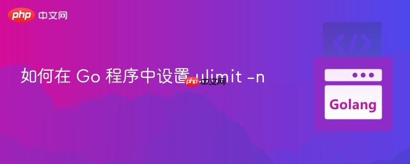 如何在 Go 程序中设置 ulimit -n