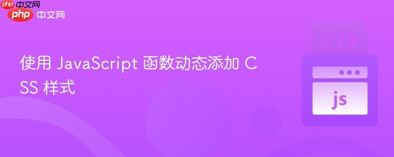 使用 JavaScript 函数动态添加 CSS 样式