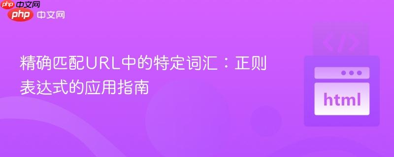 精确匹配URL中的特定词汇：正则表达式的应用指南