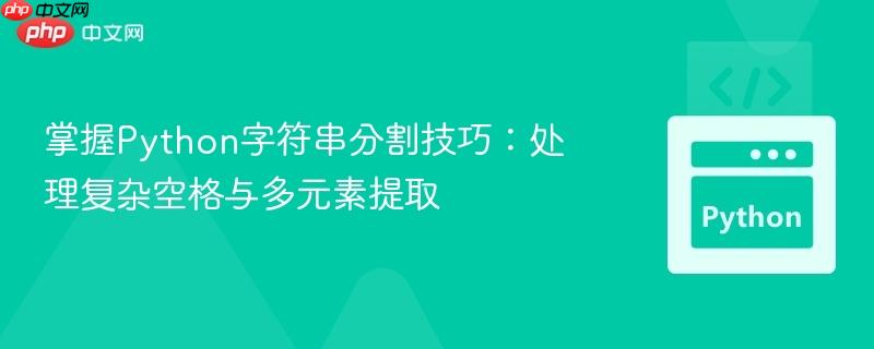 掌握Python字符串分割技巧：处理复杂空格与多元素提取