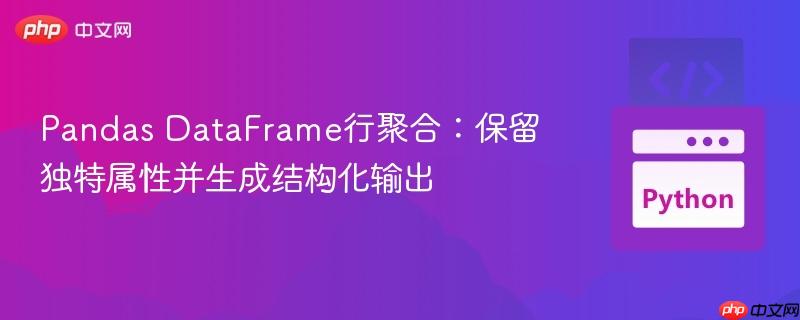 Pandas DataFrame行聚合：保留独特属性并生成结构化输出