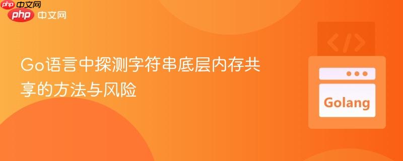Go语言中探测字符串底层内存共享的方法与风险