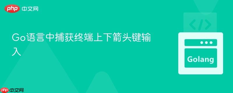 Go语言中捕获终端上下箭头键输入