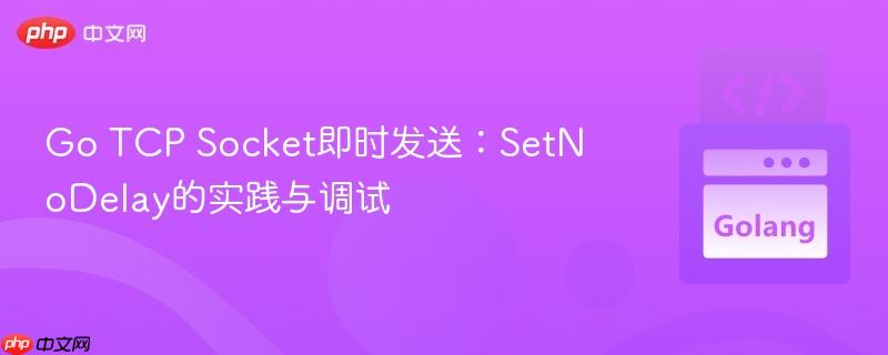 Go TCP Socket即时发送：SetNoDelay的实践与调试