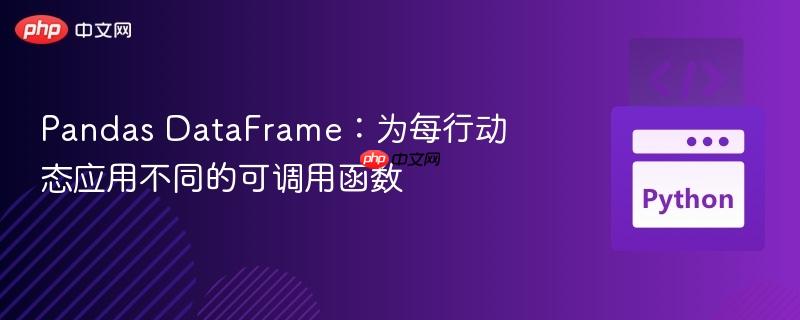 Pandas DataFrame：为每行动态应用不同的可调用函数