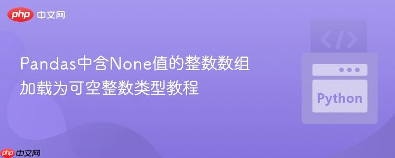 Pandas中含None值的整数数组加载为可空整数类型教程
