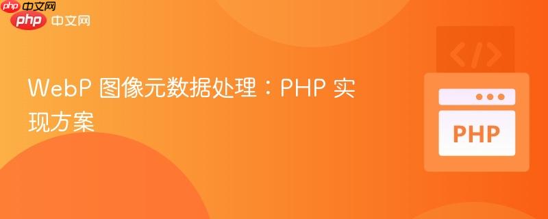 webp 图像元数据处理：php 实现方案