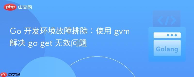 Go 开发环境故障排除：使用 gvm 解决 go get 无效问题