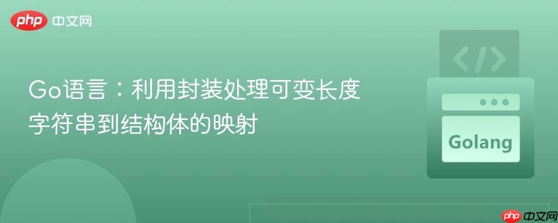 Go语言：利用封装处理可变长度字符串到结构体的映射