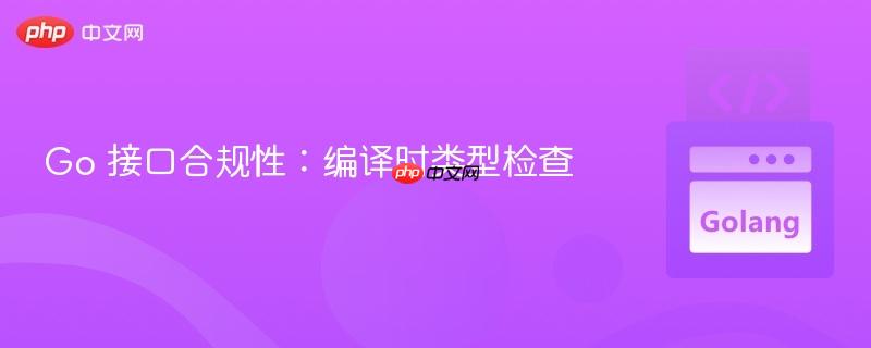 Go 接口合规性：编译时类型检查
