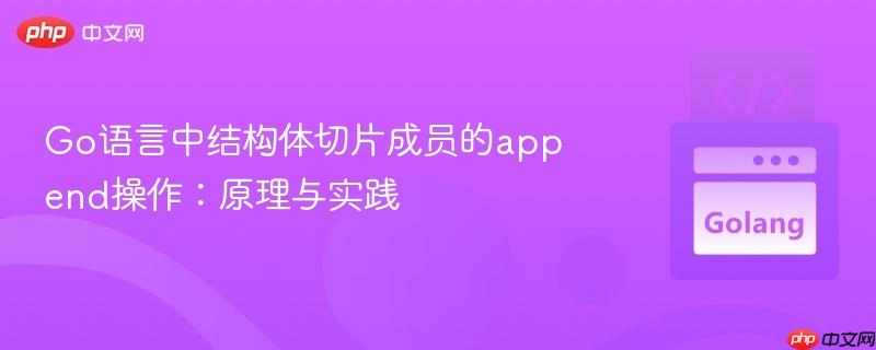 Go语言中结构体切片成员的append操作：原理与实践