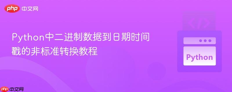 Python中二进制数据到日期时间戳的非标准转换教程