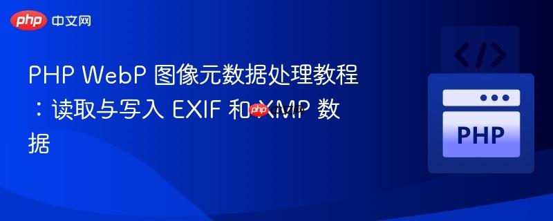 php webp 图像元数据处理教程：读取与写入 exif 和 xmp 数据