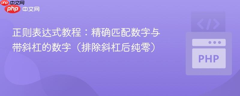 正则表达式教程：精确匹配数字与带斜杠的数字（排除斜杠后纯零）