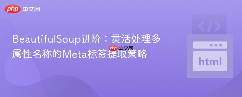 BeautifulSoup进阶：灵活处理多属性名称的Meta标签提取策略