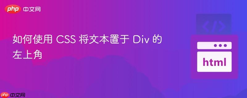 如何使用 CSS 将文本置于 Div 的左上角