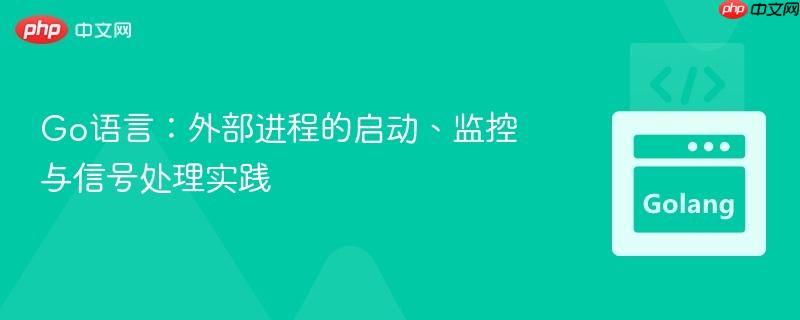 Go语言：外部进程的启动、监控与信号处理实践