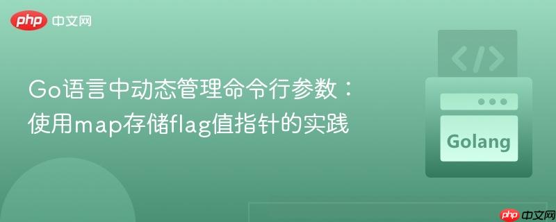 Go语言中动态管理命令行参数：使用map存储flag值指针的实践